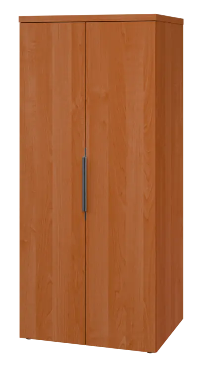 SIST 5 - 82 šatní skříň, 2-dveřová, tyč, 1820x800x600, olše jantar